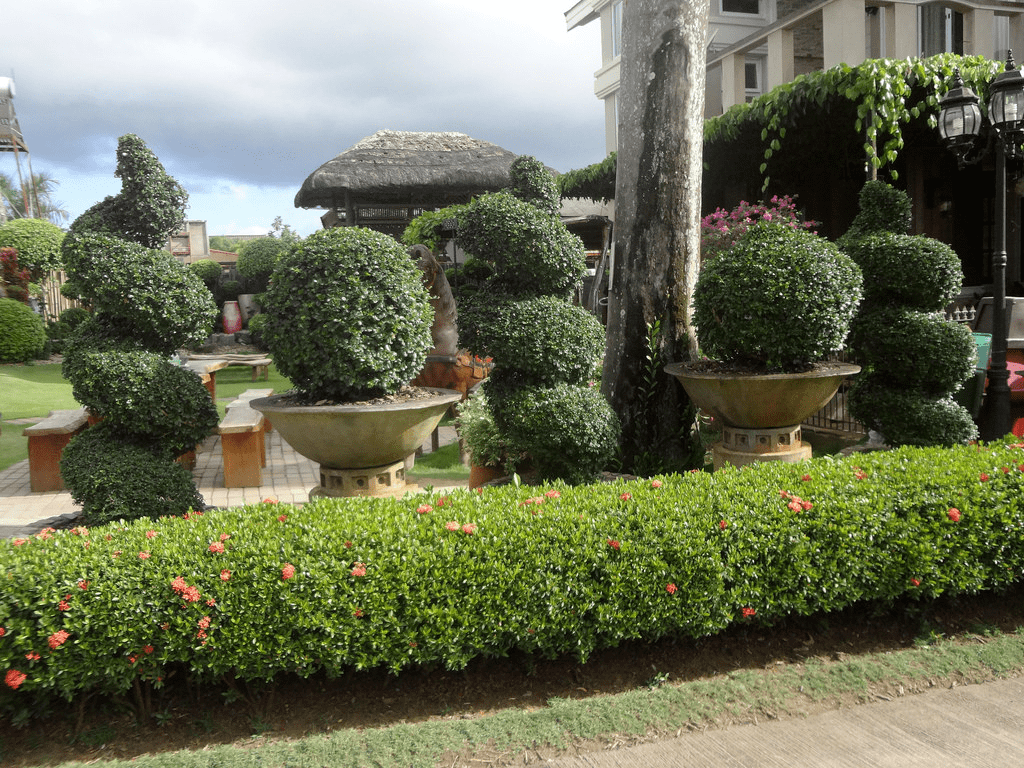 well manicured garden in baker's hill puerto princesa palawan philippines